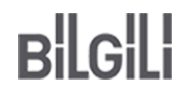 Bilgili Bilgili